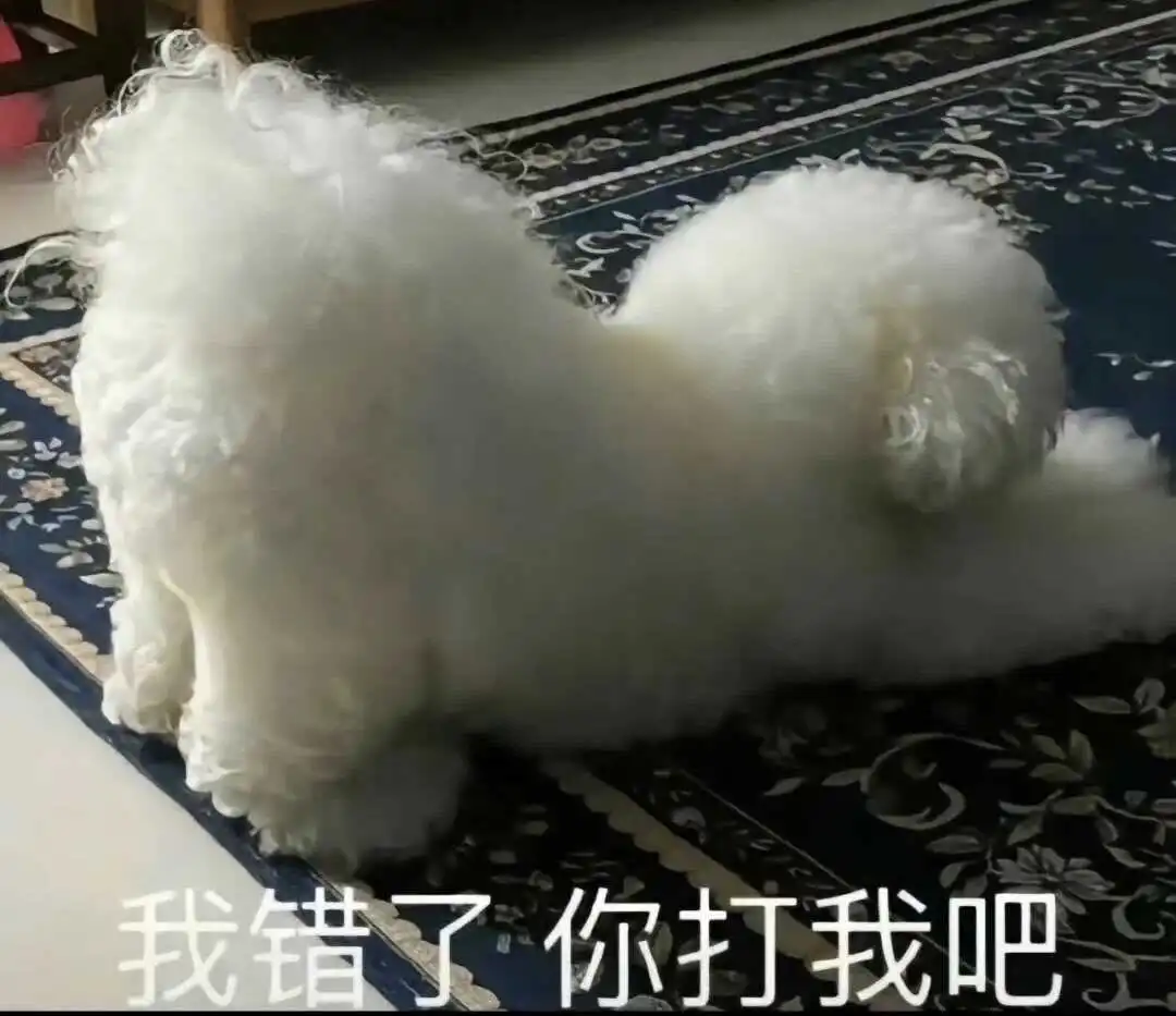 西檬之家-Brat属性是什么？BDSM新人必读指南