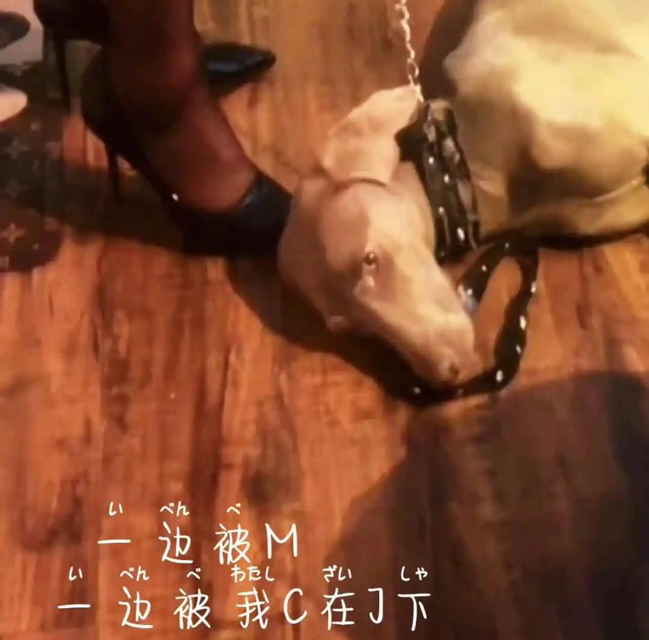 西檬之家-【小圈怎么玩？新人必读指南】