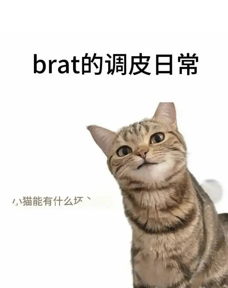 西檬之家-Brat属性解析：字母圈新人的角色定位与相处指南