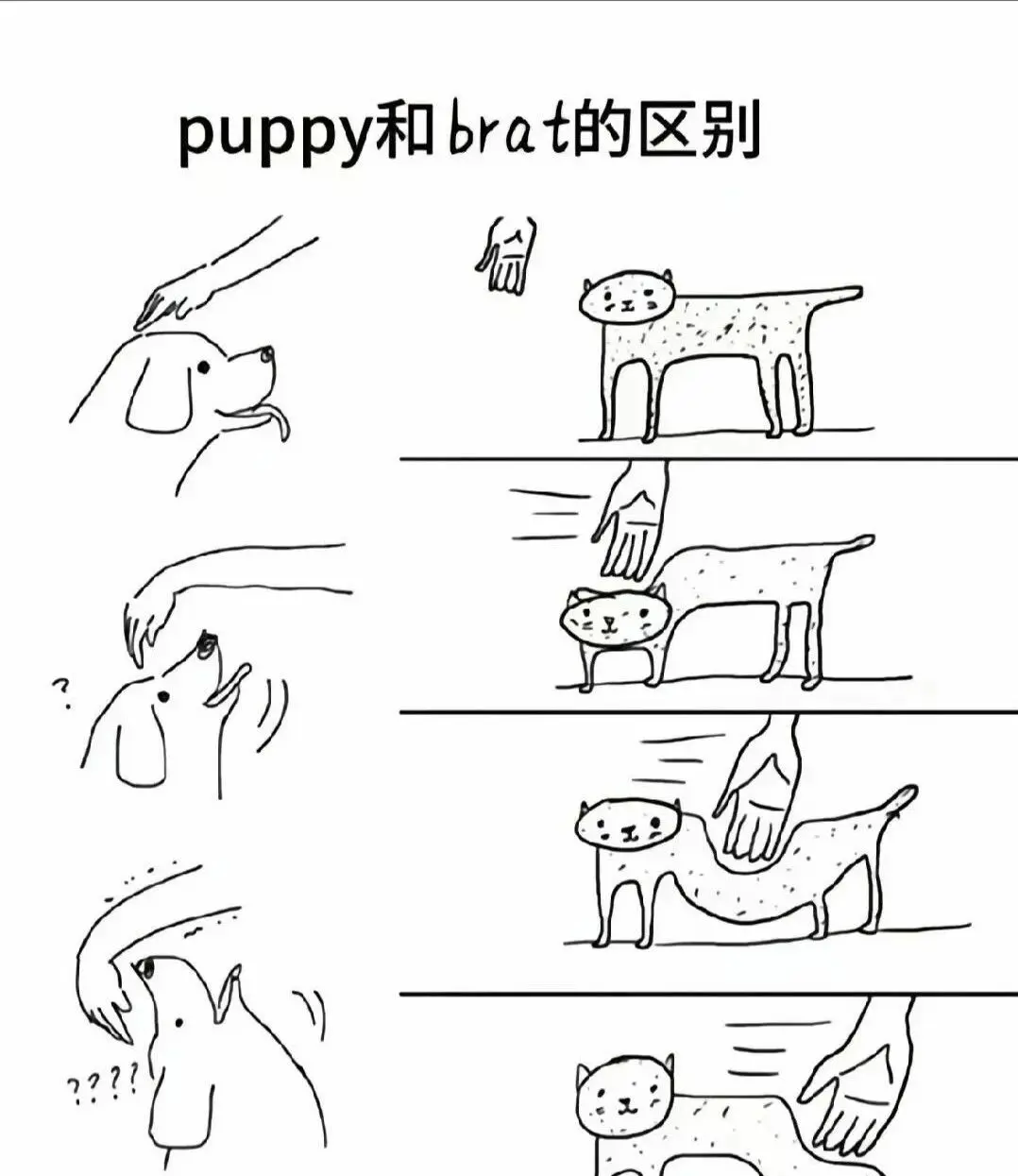 西檬之家-BDSM中的字母圈K8猫系角色：认识猫咪的魅力与安全实践