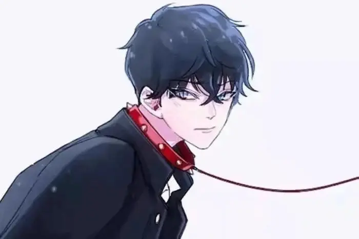 【西檬之家】DT是什么意思？字母圈新人的情境沟通指南