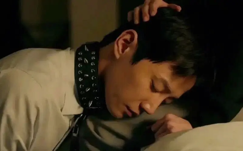 西檬之家-BDSM猫系角色扮演入门指南