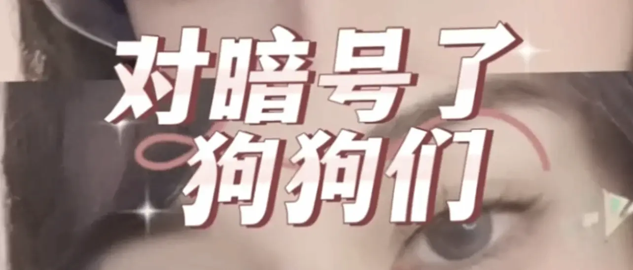 西檬之家-恋足癖是什么？它如何与BDSM实践相关联？
