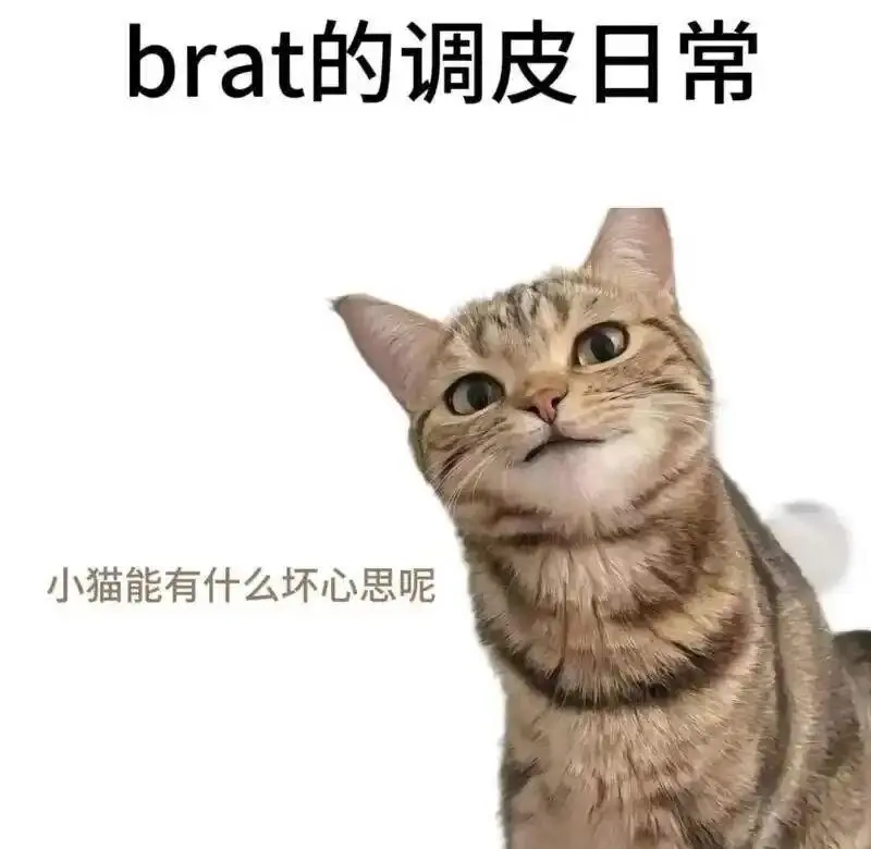西檬之家-BDSM是什么？字母圈新人入圈指南
