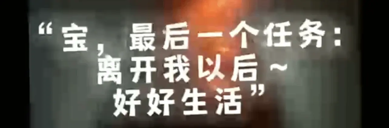 【西檬之家】k9犬系入门：探索字母圈宠物扮演的信任与规则